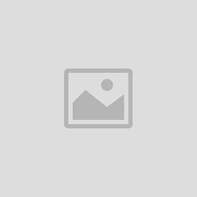 Filon Asset Store